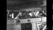 Buffalo Stampede Randolph Scott western movie full length part 2/2