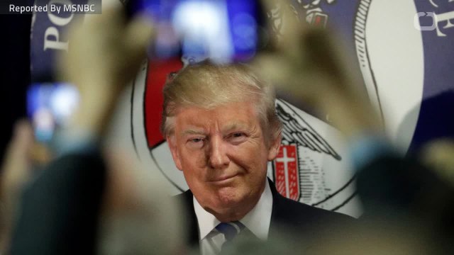 Tip From Australian Diplomat Triggered FBI Investigation