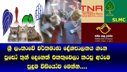 ශ්‍රී ලංකාවේ වර්තමාණ දේශපාලනය ගැන පුසෝ 3දෙනෙක් එකතුවෙලා කරපු අරුම පුදුම වීඩියෝව මෙන්න