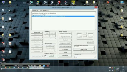 Volkswagen Mileage Correction