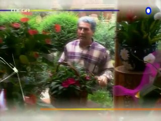 Εραστής δυτικών προαστίων Επεισόδιο 10