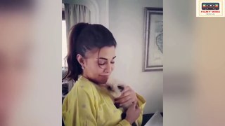 Jacqueline fernandez Gets Emotional for Christmas Gift  Cute Kitty Inside the Box