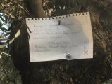 Kamyonuyla Zeytin Ağacının Dalını Kıran Şoför, Not Astı: Hakkınızı Helal Edin!