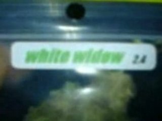 amsterdam ptit dejeuner