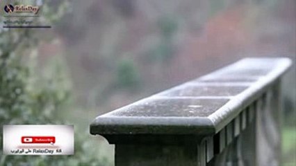 موسيقى هادئة - المطر والجيتار Guitar + Rain_low