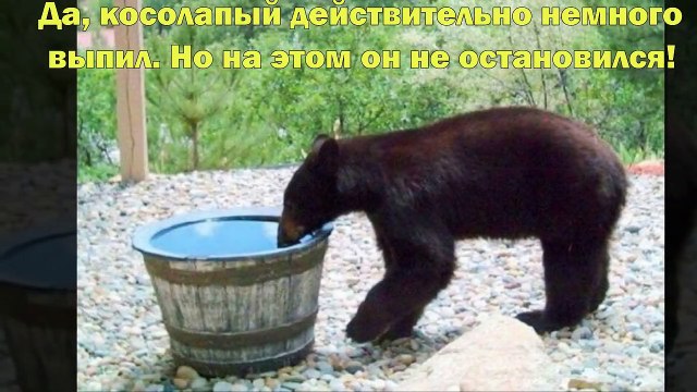 Люди наполняли бочку водой каждый день, но на утро она пустела… Чтобы разгадать эту загадку, они пом