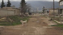 Syria's war: Some refugees returning home