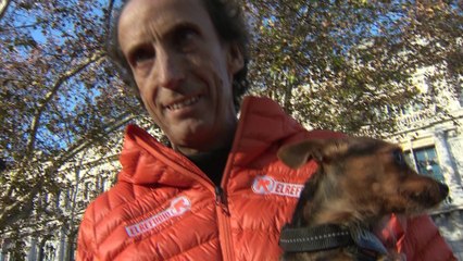 Más de 700 perros participan en la San Perrestre