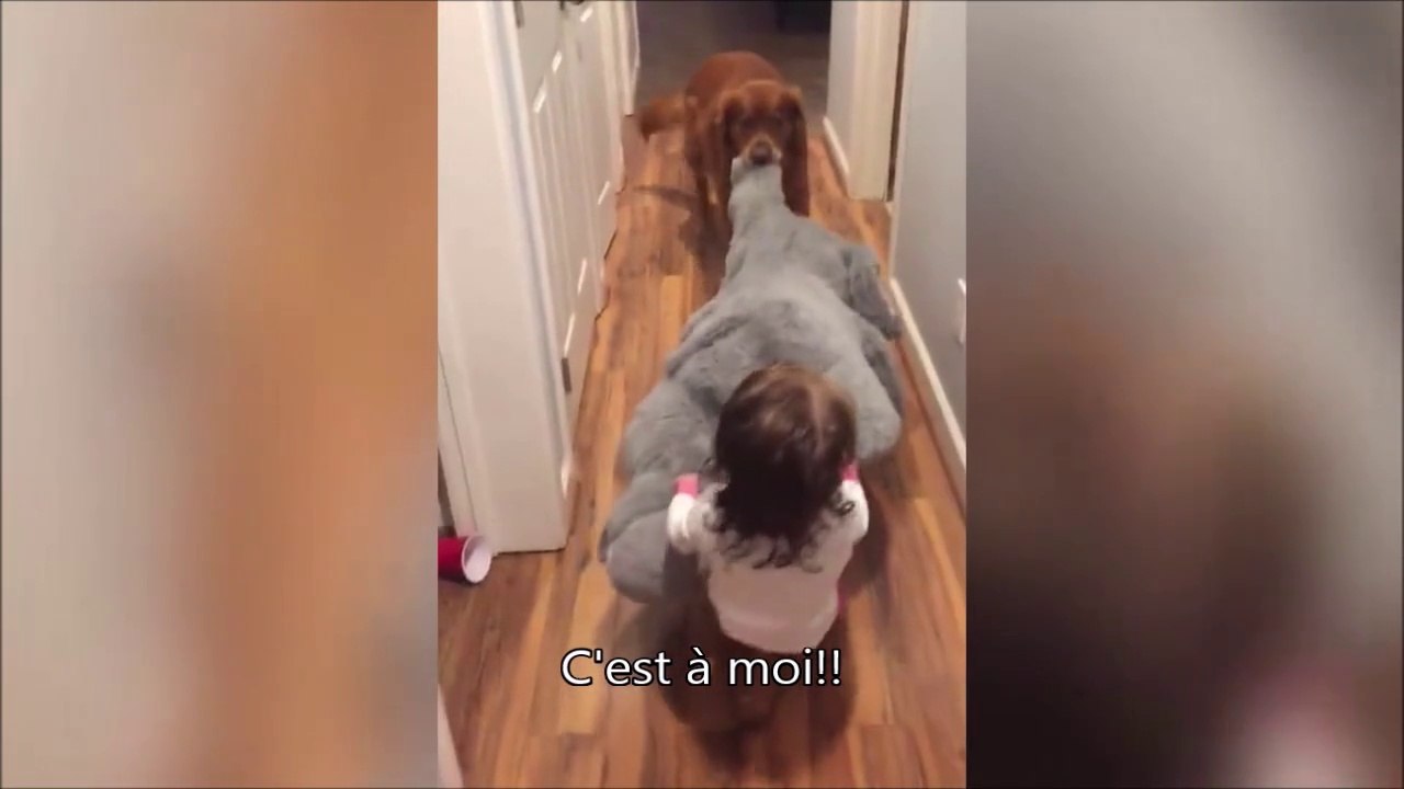 Quand ton chien vole les peluches de ta fille... Adorable
