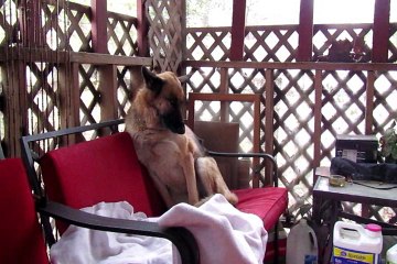 ZEROKNIGHT ENTERTAINMENT - 12.30.2017