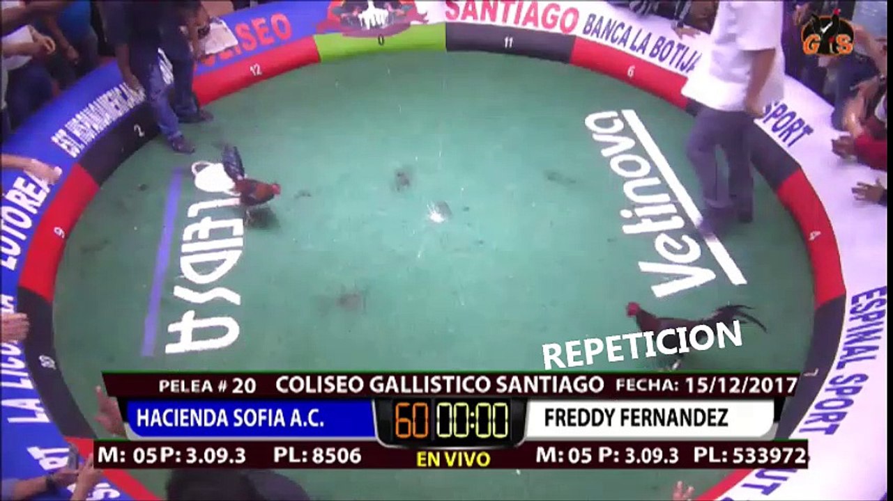 1era. Parte-TECNO-19-12-2017-PELEAS-HAC.SOFIA por TECNODEPORTES