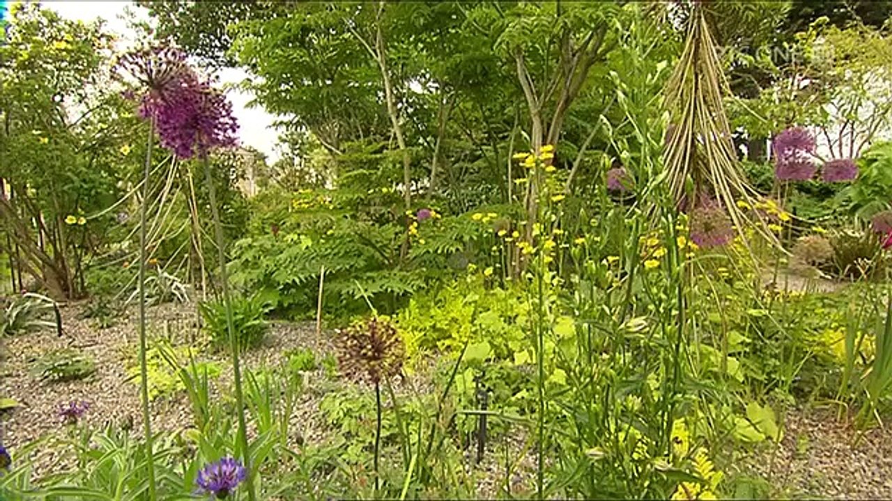 Nationwide  24th June 2015 HDTVX264