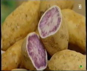 Antocianinas: Centenarios de Okinawa (Dieta y envejecimiento)