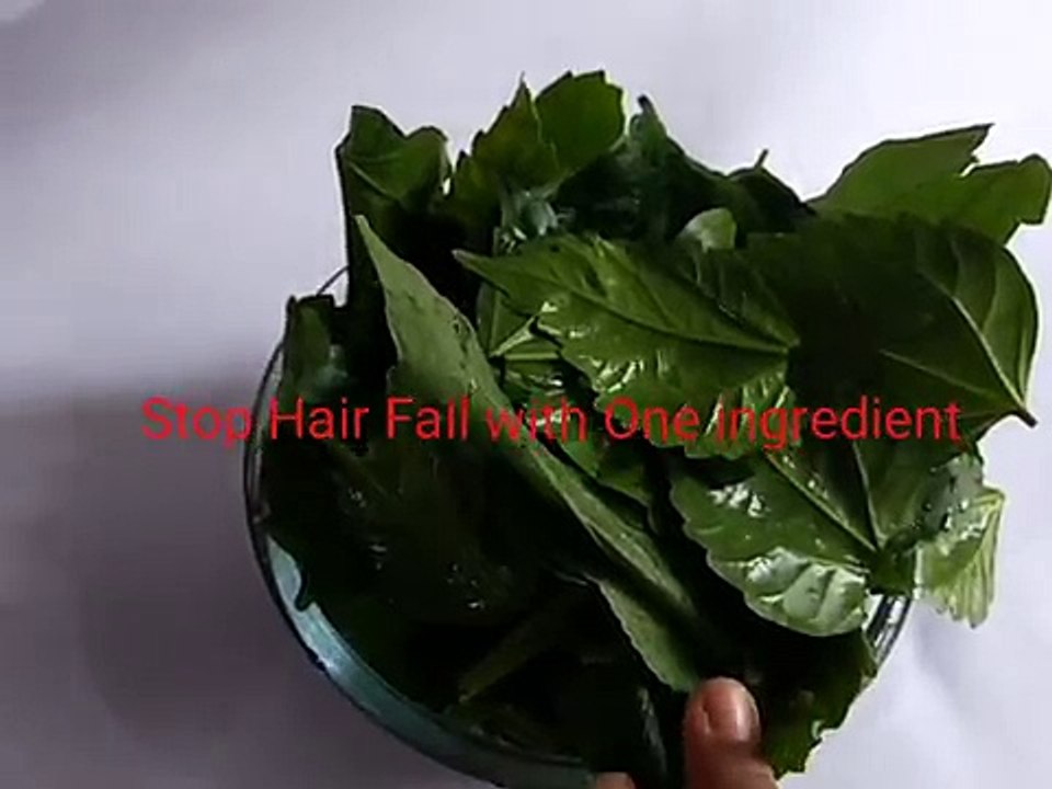 How to stop Hair fall with one ingredient