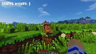 STACYS WOLVES MOD CHALLENGE - MINECLASH (EP.91)