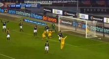 Blaise Matuidi Goal - Verona 0-1 Juventus - 30.12.2017