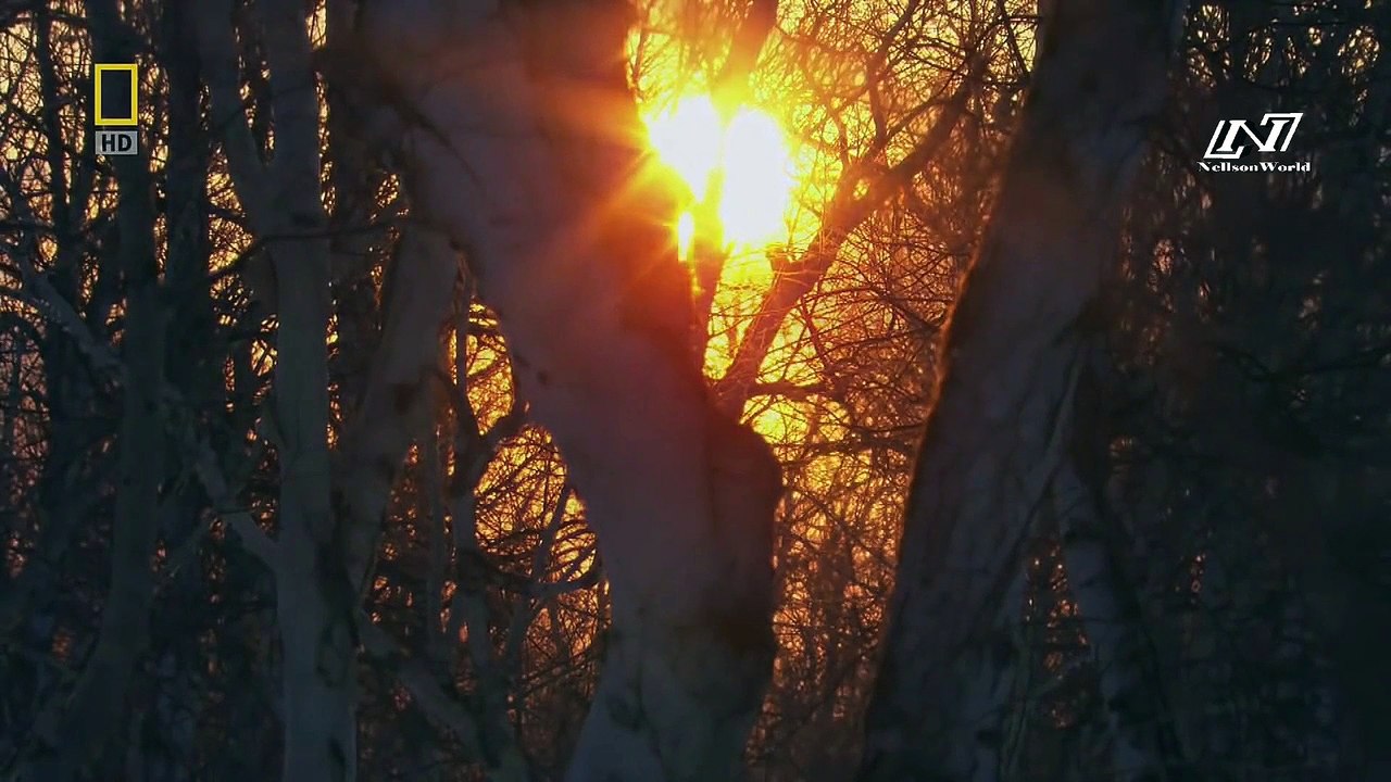 Дикая Россия- Камчатка