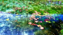 Cet endroit est paradisiaque... Monets Pond, Seki City, Japon.