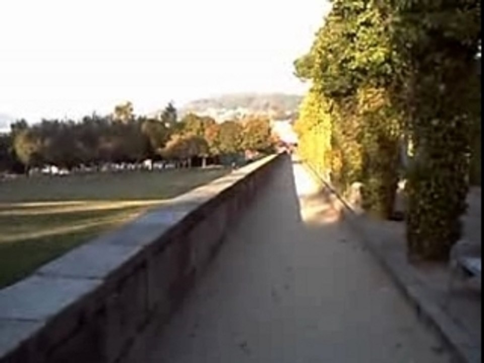 Steel