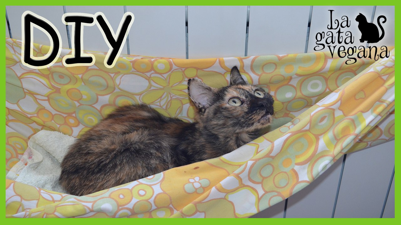 CÓMO HACER UNA HAMACA DE RADIADOR PARA GATOS, PERROS Y CONEJOS | HAZLO TÚ MISMO