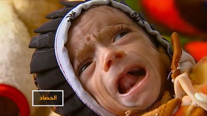 منظمات دولية: الشعب اليمني في معاناة لا يمكن تصورها