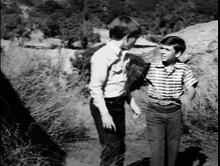 Fury JOEY AND THE GYPSIES - Peter Graves TV WESTERN