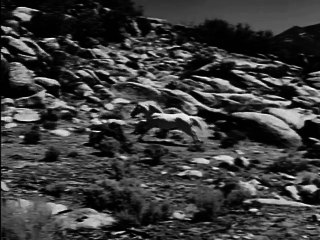 Fury KILLER STALLION - Peter Graves TV WESTERN