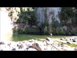 fly Fishing a beautiful River in New Zealand