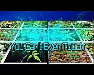 7 Untouchable Plants