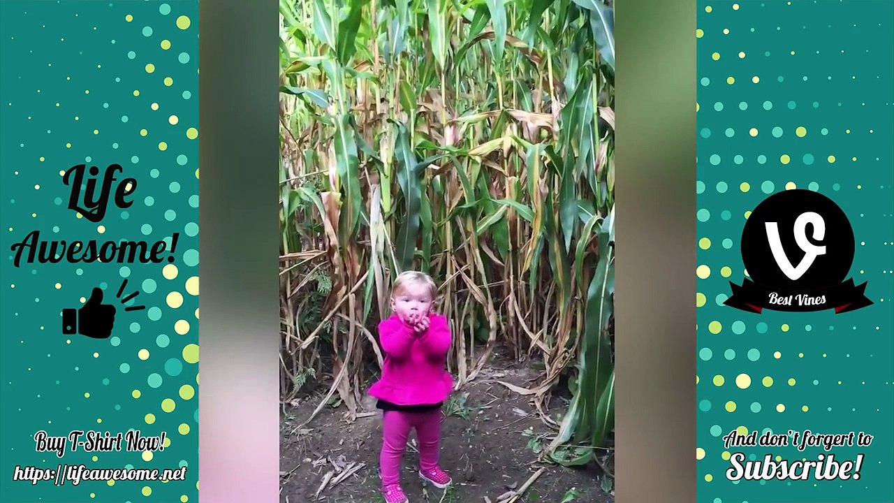 TRY NOT TO LAUGH or GRIN- Funny Kids Fails Compilation 2017 - Best Funny Baby Fails December 2017
