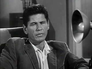 MAN WITH A CAMERA Double Negative CHARLES BRONSON