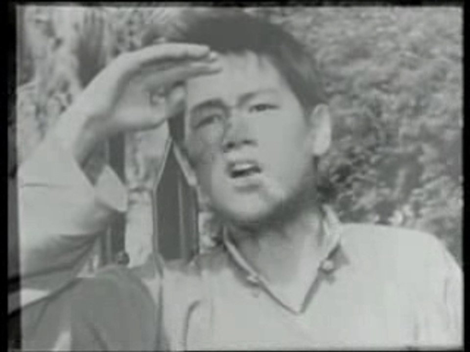 Bruce Lee "Famous Families(1/5)"