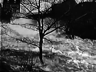 Prison Nurse (1938) CRIME DRAMA