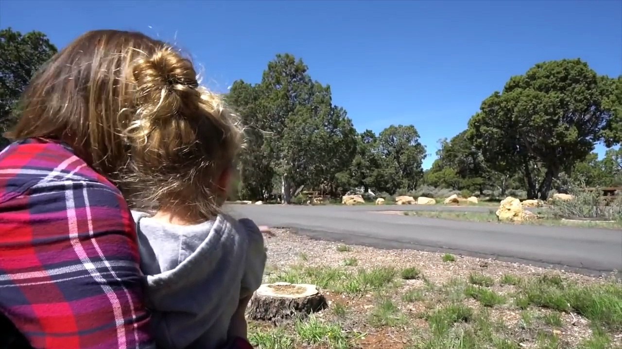 These Campsites Make Traveling in an RV a Blast!