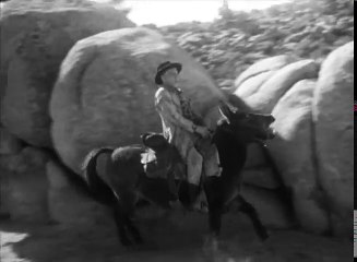 The Adventures of Champion CALHOUN RIDES AGAIN