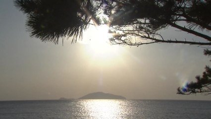 충남 서천 마량포구 해넘이...2017년 안녕 / YTN