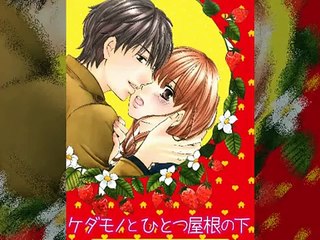 【少女漫画】ケダモノとひとつ屋根の下 ~ 少女コミック 2017