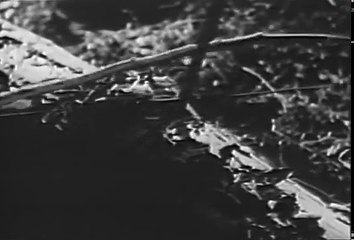 Flying Blind (1941) ACTION-THRILLER part 2/2