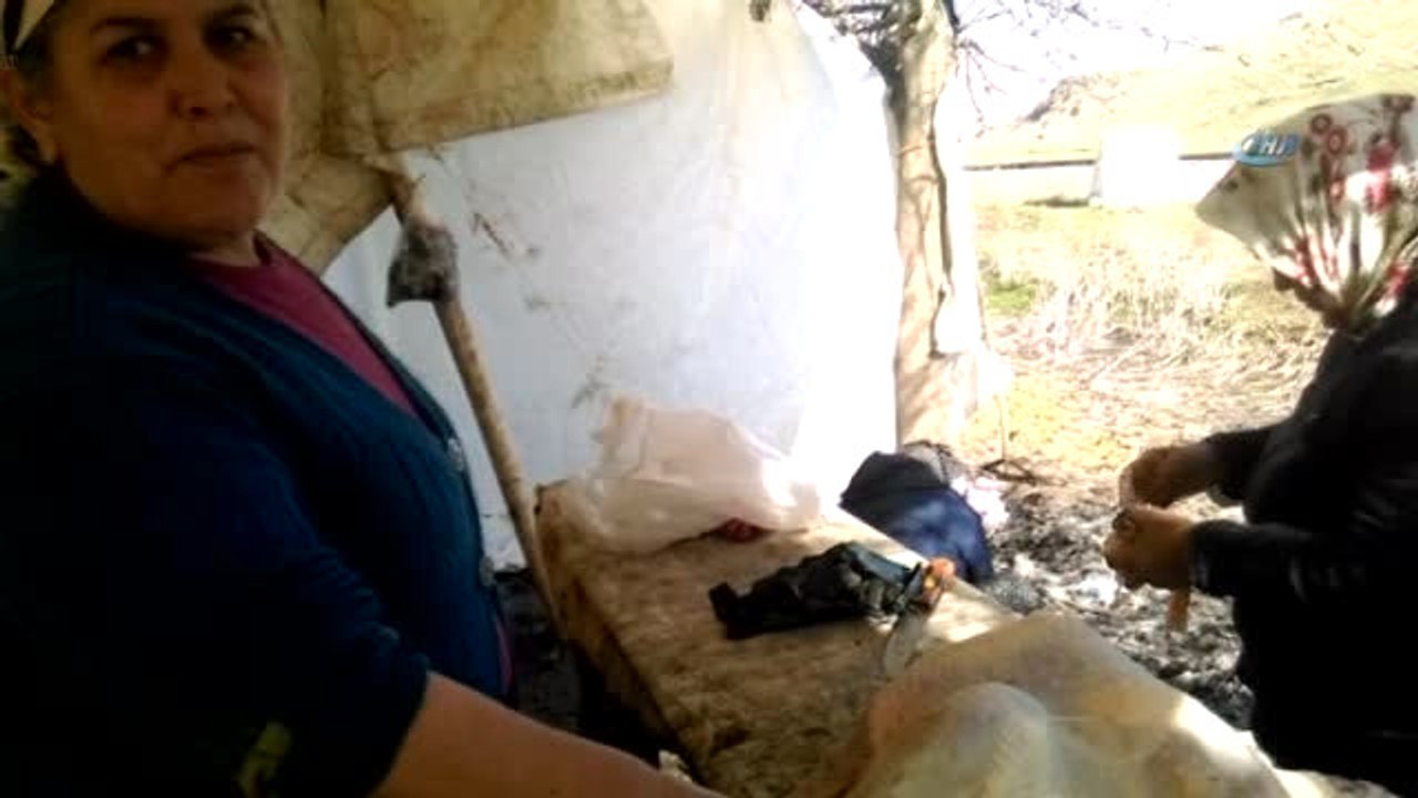 Gaziantep'te Hindiler Elde Kaldı