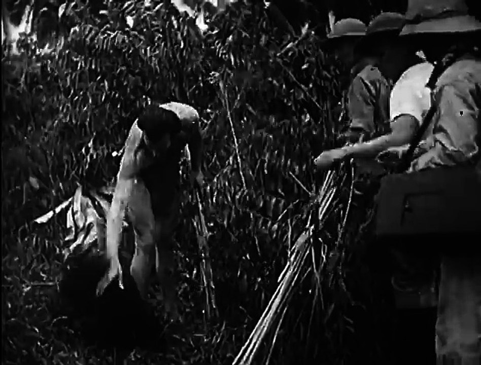 The New Adventures of Tarzan (1935) JUNGLE ADVENTURE part 2/2