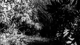 Tarzan's Revenge (1938) JUNGLE ADVENTURE part 2/2