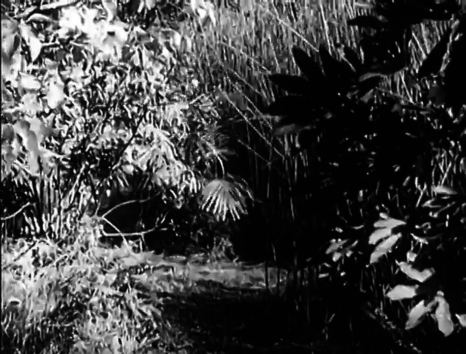 Tarzan's Revenge (1938) JUNGLE ADVENTURE part 2/2