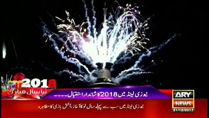 New Zealand celebrates new year with amazing fireworks