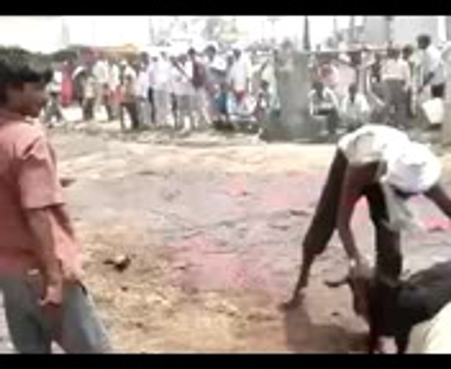 Best funny video