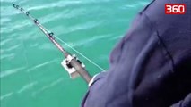 Kishte dale me familjen per peshkim, ajo qe kapi ne grep i tmerroi te gjithe te pranishmit (360video)
