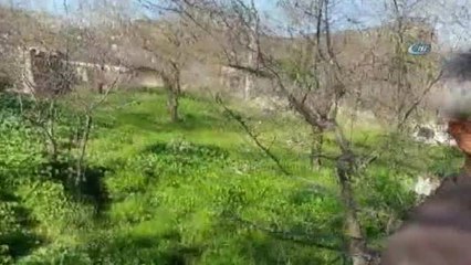 Yalancı Baharda Badem Ağaçları Meyve Verdi