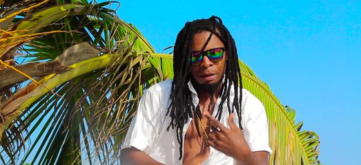 YOUNG AFRICA - THE GIRL I NEED (CLIP OFFICIEL By Panoramic Pixels)