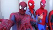 SPIDER-MAN vs CAPTAIN AMERICA vs IRON MAN | Superheroes | Spiderman | Superman | Frozen Elsa | Joker