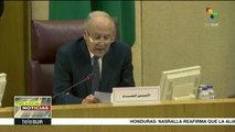 Liga Árabe busca impedir que Israel se una al Consejo de Seguridad
