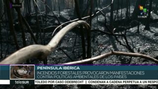 Incendios forestales consumieron miles de hectáreas en España